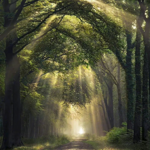 黑人囗交深唉吞精
